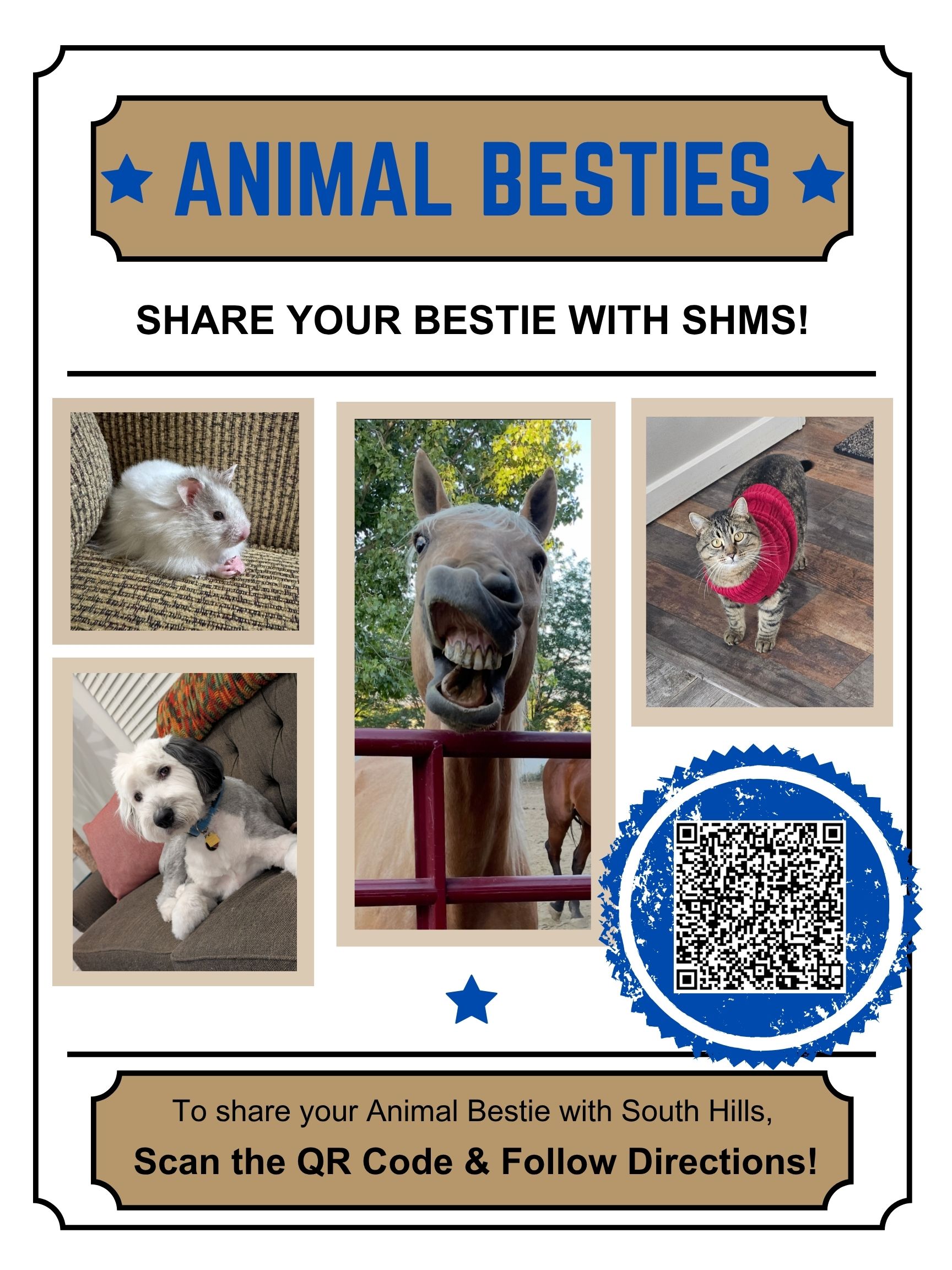 Instructions for sending a pet picture to SHMS.